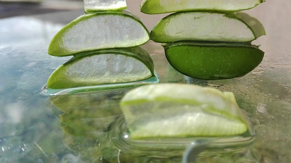 Aloe vera produits forever : bienfaits et conseils essentiels